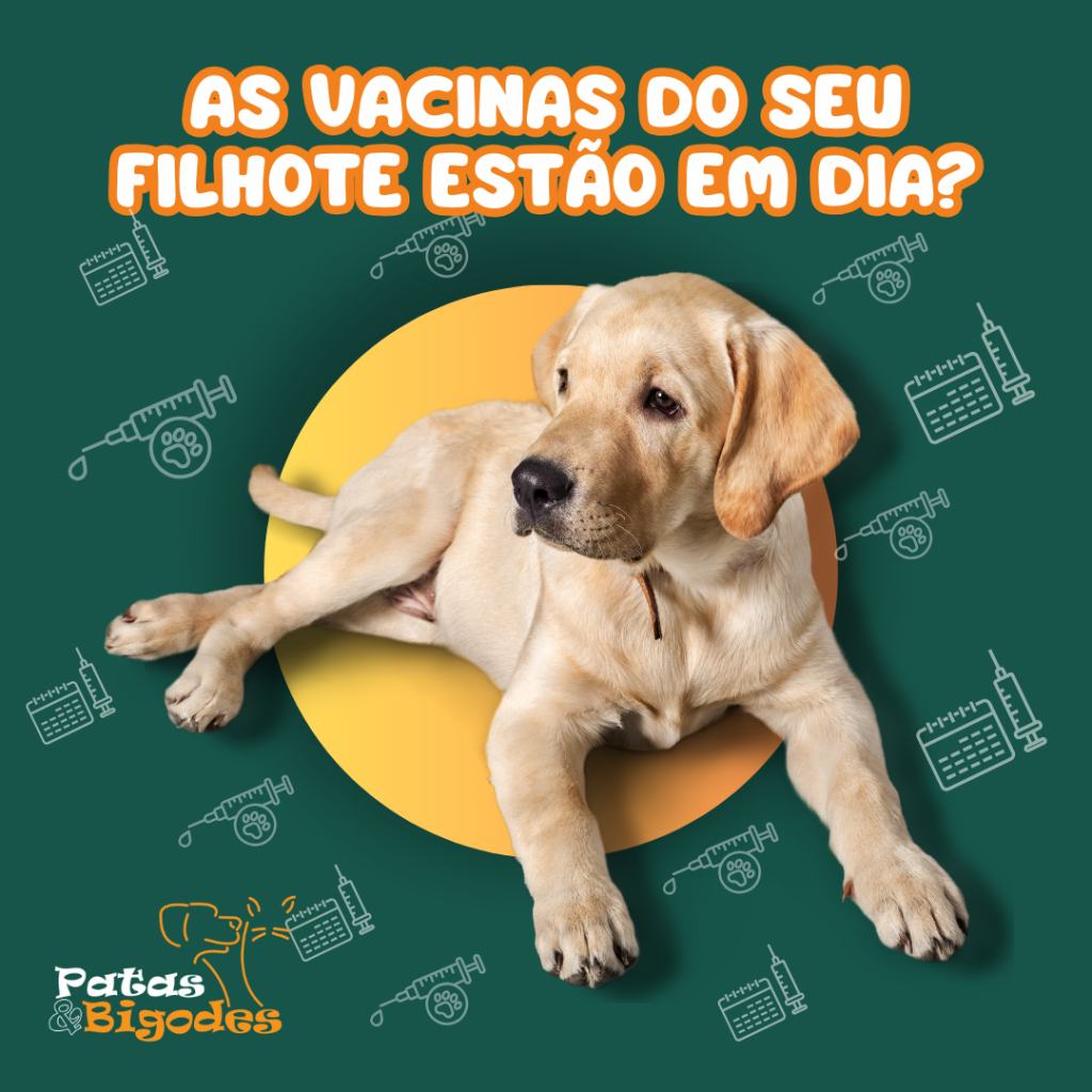 A vacinação é uma parte crucial dos cuidados com os pets filhotes, pois ajuda a protegê-los contra várias doenças graves e potencialmente fatais.